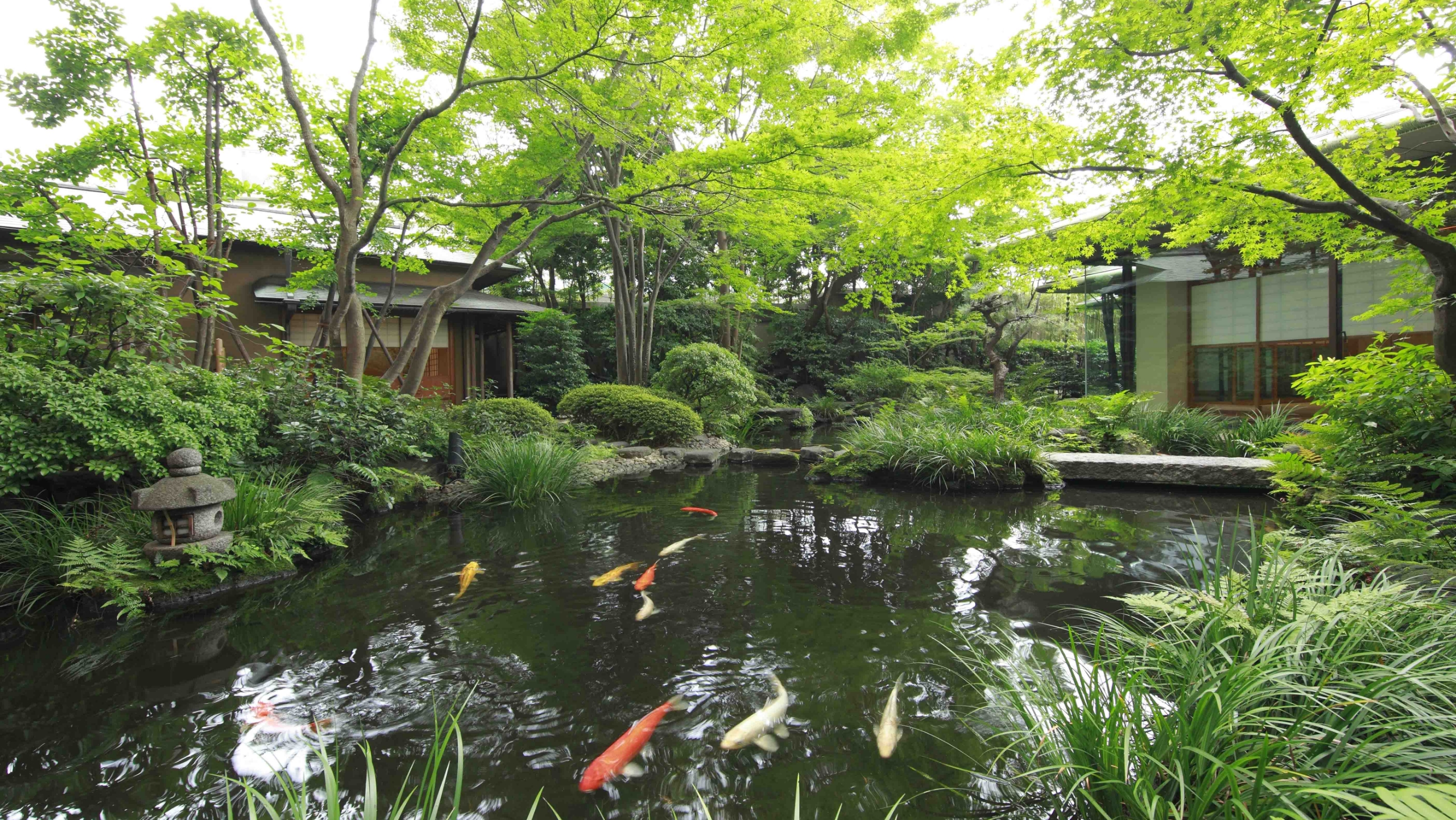 Japanese Garden and Teahouse